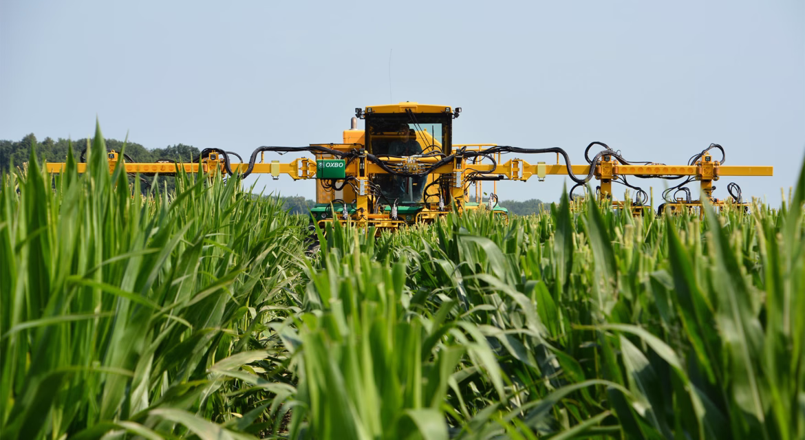 plantio-de-milho-alta-produtividade