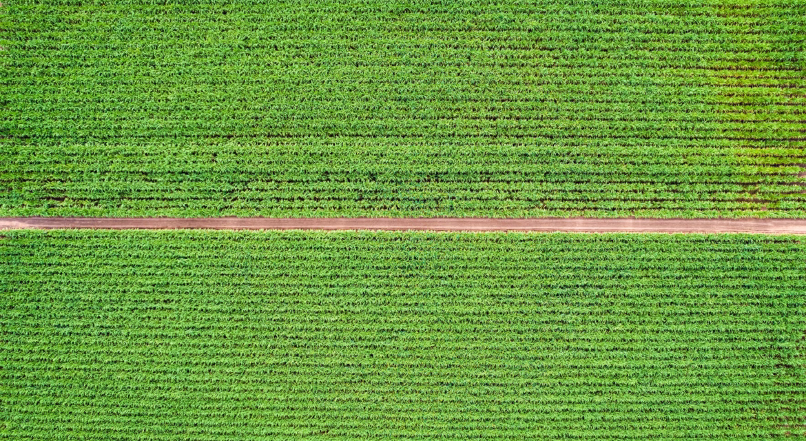 lavoura-produto-alta-performance-agricultura